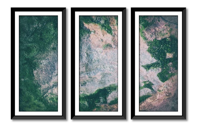 Abstract Triptych Botanical Fine Art Photo Set
