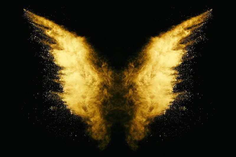 Golden Butterfly Canvas Abstract Home Decor Wall Art