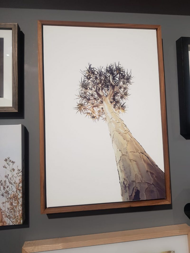 Printed Products Specifications