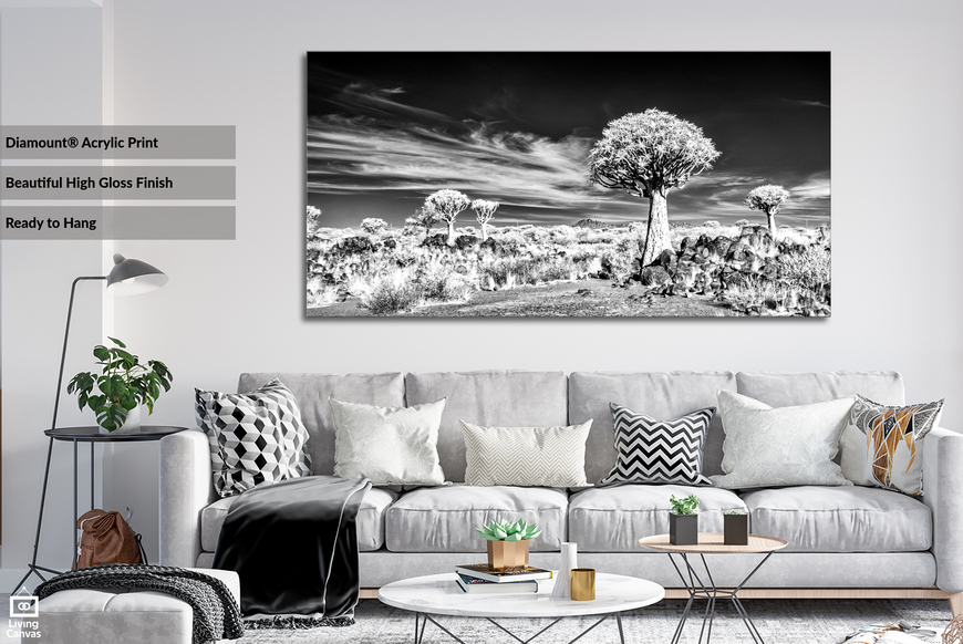 Kokerboom Forest Namibia African Landscape Wall Art