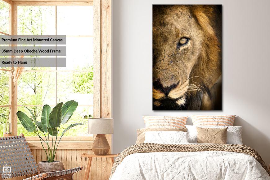 Lion Face Portrait African Wildlife Wall Art Prints