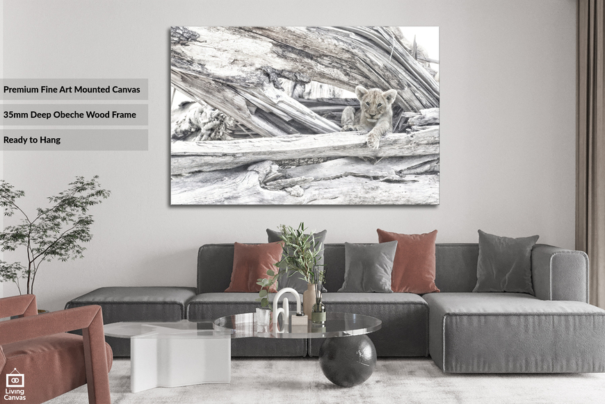 Shop Décor Wall Art • Canvas or Framed • Living Canvas Fine Art