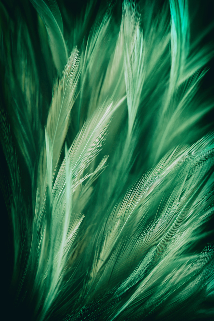 Flaming Storm • Wall Art South Africa • Canvas & Framed