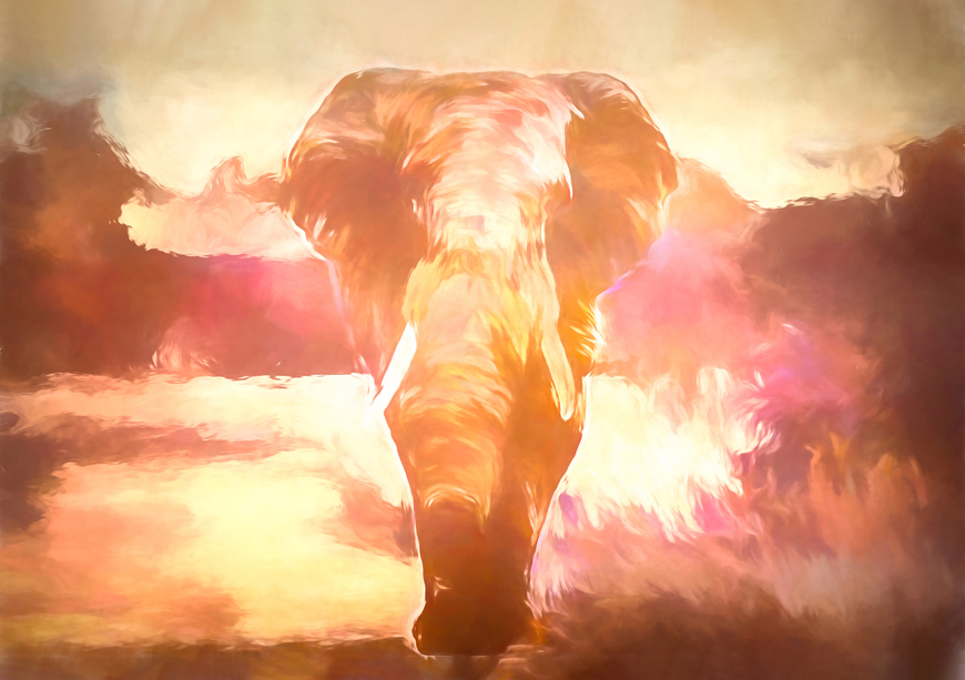 Spirit of Africa • Exclusive Wall Art