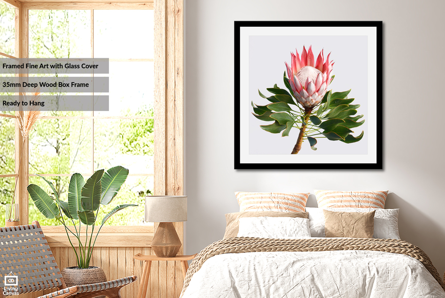 Protea • Premium Quality Wall Art