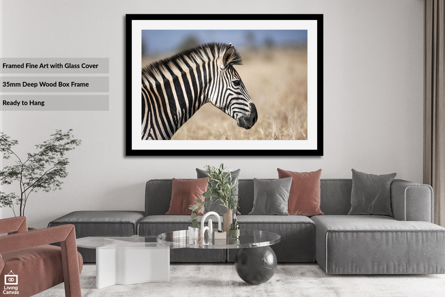 Zebra Portrait | Photographic Wildlife Wall Art