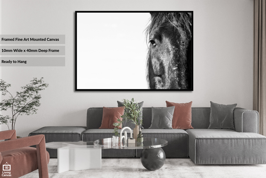 Horse Portrait • Framed Office Wall Art