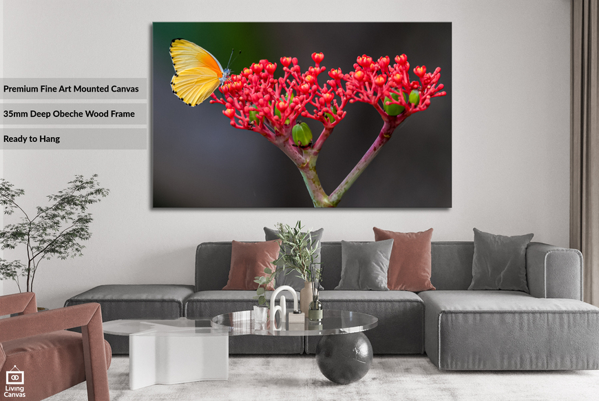 Red and Yellow • Vibrant Canvas Wall Art