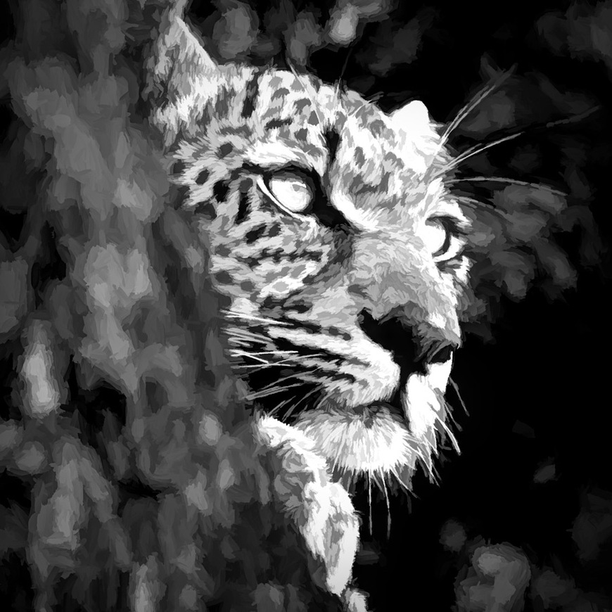 Black & White Leopard • 1 Canvas Wildlife Wall Art