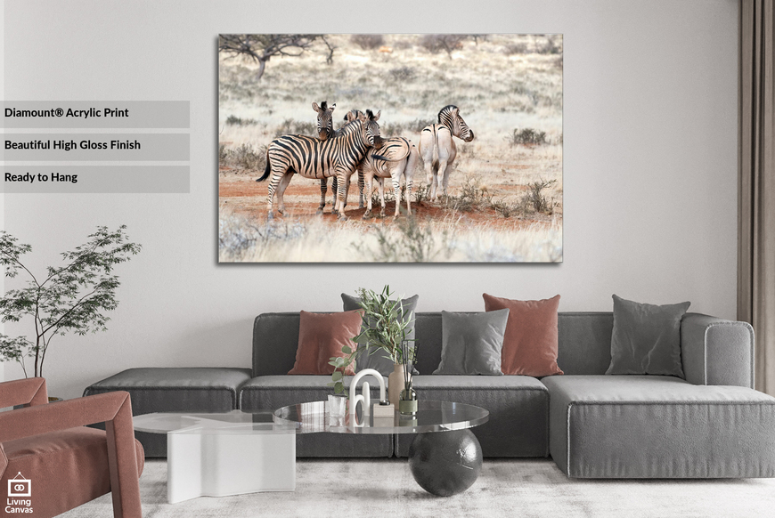 Zebra Gathering • SA's BEST Online Wall Art Store