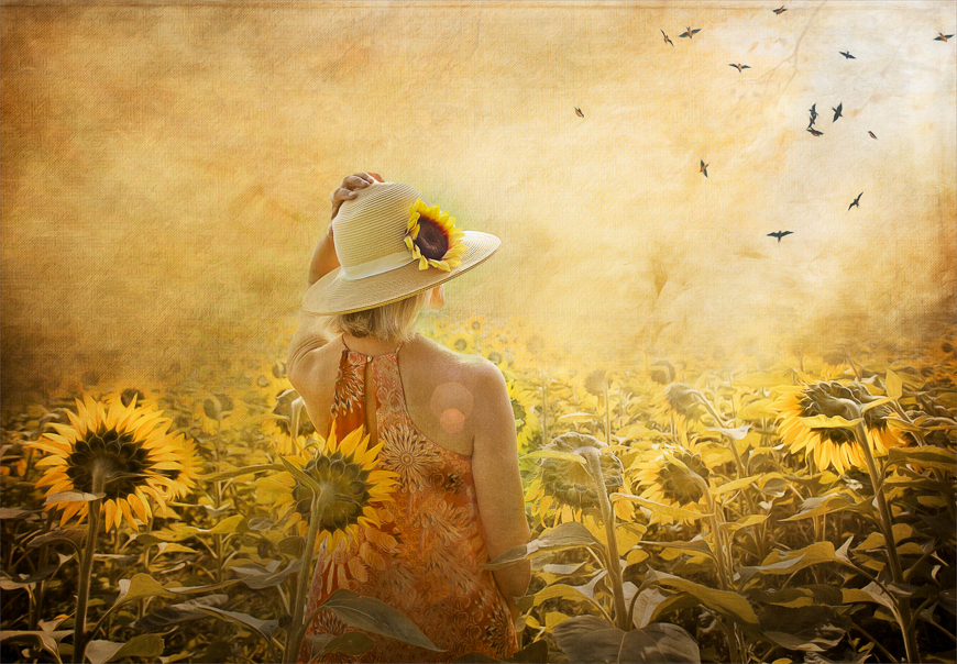 Wall Art by Living Canvas Canvas & Framed Art South Africa