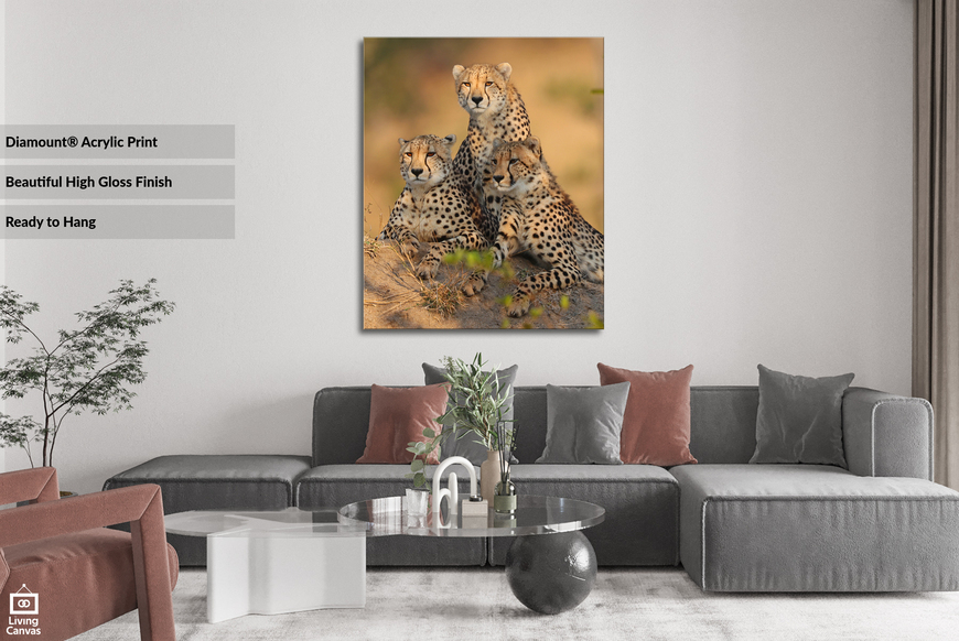 Family Photo • African Wildlife Wall Art for Interior Decor