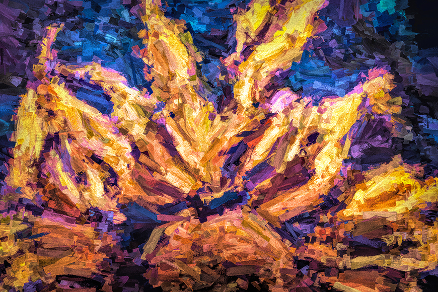 Funky Funflower • Vibrant Canvas Wall Art for your Home