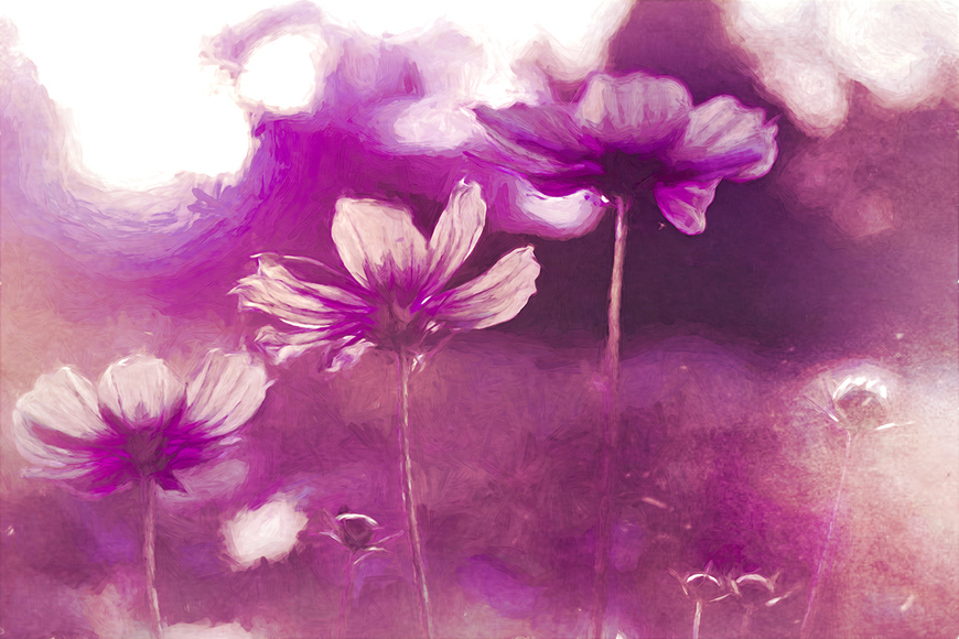 Cosmosis • Abstract Botanical Canvas Wall Arts