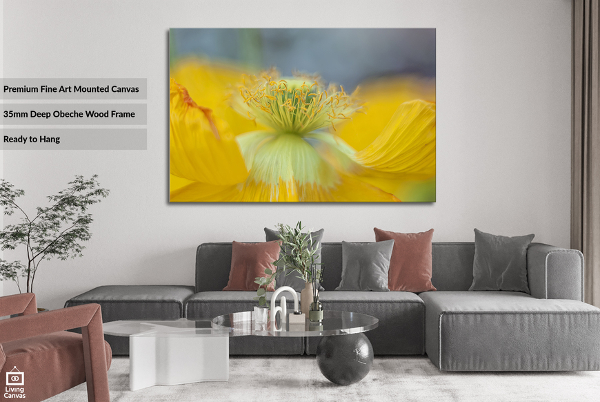 Yellow Poppy • Flower Wall Art on Canvas or Framed