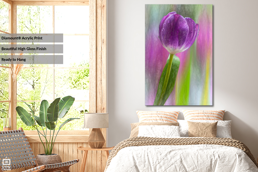 Pretty Purple Tulip • Framed Canvas Floral Wall Art