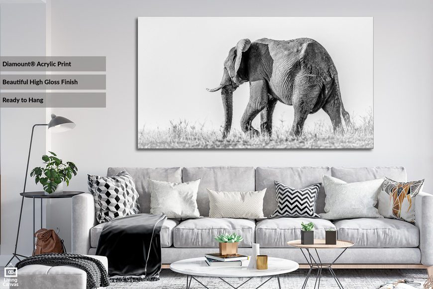 Kariba Elephant • Framed & Mounted Canvas Wall Art