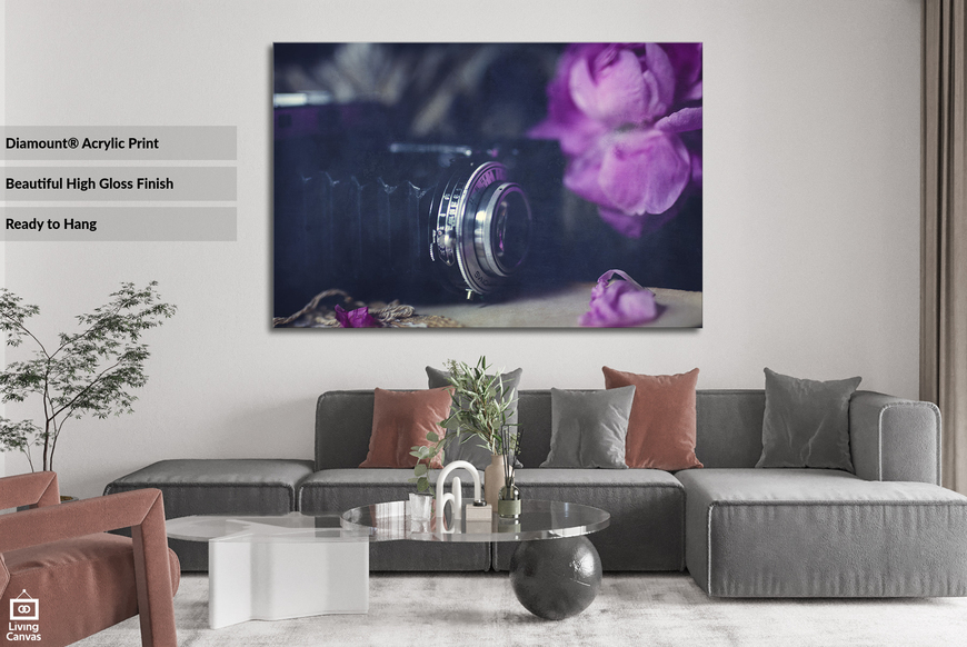 Vintage Camera • Wall Art • Mounted Canvas & Framed