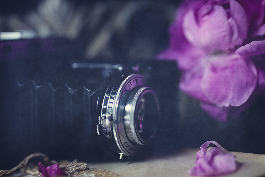 Vintage Camera • Wall Art • Mounted Canvas & Framed