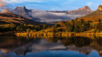 Riaan van den Berg – Products – Living Canvas Decor Wall Art
