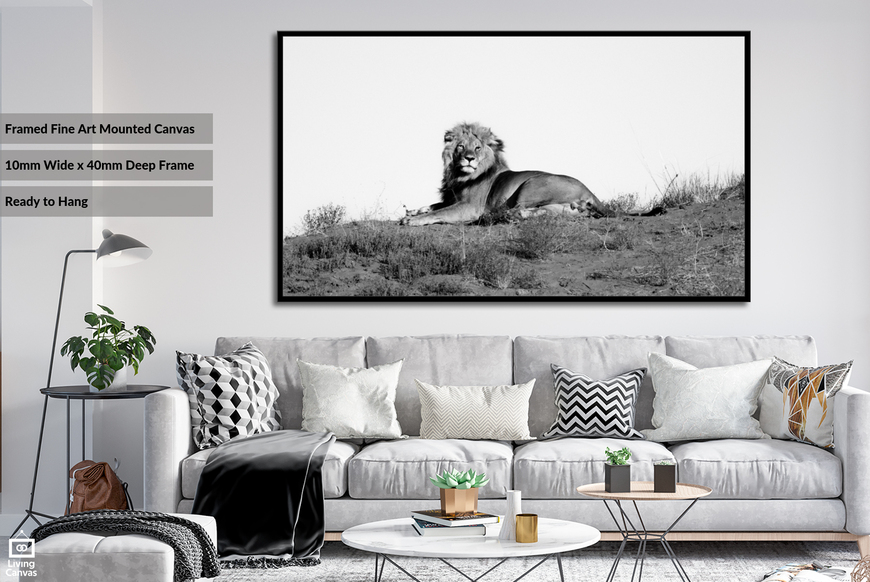 King of the Dune • Framed & Canvas Wall Art South Africa