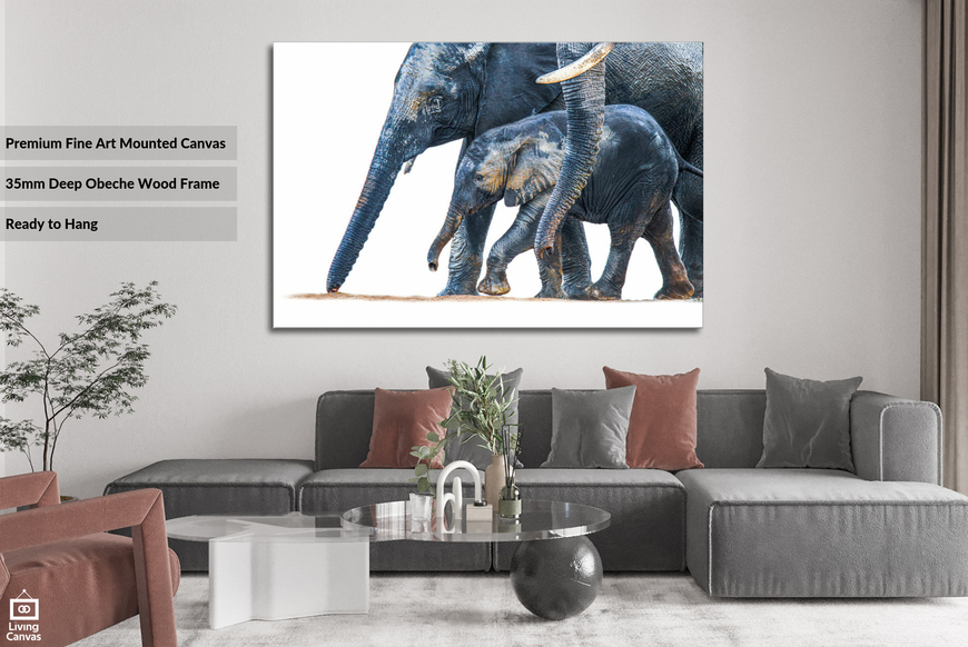 Under your wings • Wall Art South Africa • Canvas & Framed