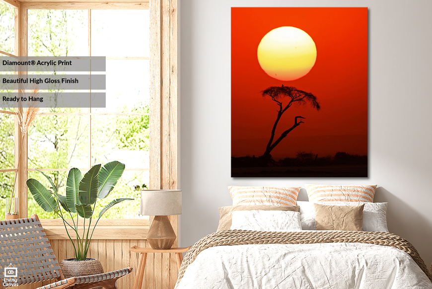 Magical African Sunset • Wall Art South Africa • Canvas & Framed