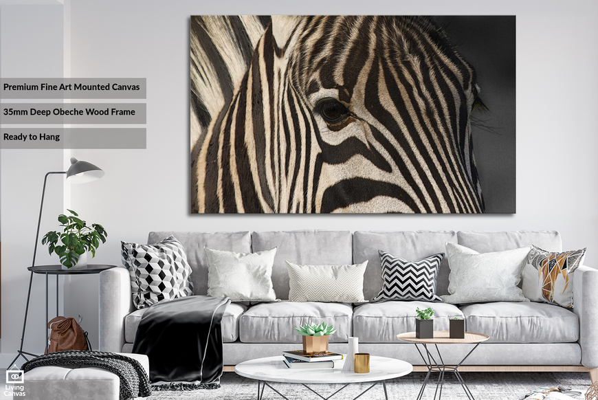 Zebra Close up • Mounted Canvas & Framed Wall Art Prints